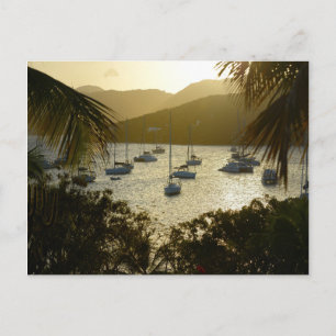 Katamarane und Segelboote Postkarte