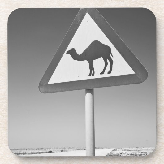Katar, Al Zubarah. Camel Crossing Road Getränkeuntersetzer (Vorderseite)