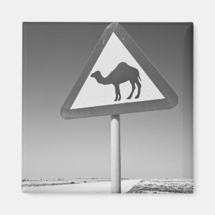 Katar, Al Zubarah. Kamelüberquerungsschild-Straße Magnet