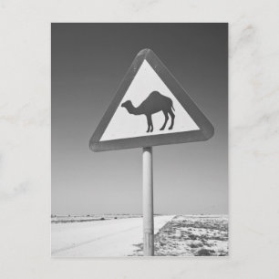 Katar, Al Zubarah. Kamelüberquerungsschild-Straße  Postkarte