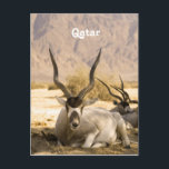 Katar Postkarte<br><div class="desc">Oryx ist das nationale Tier Katars.</div>