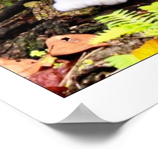 KATASTROPHE POSTER (Ecke)