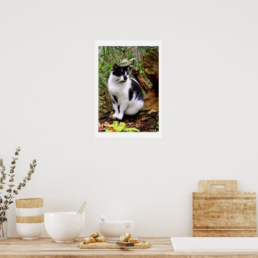 KATASTROPHE POSTER (Küche)