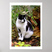 KATASTROPHE POSTER (Vorne)