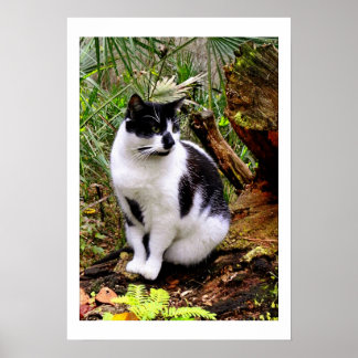 KATASTROPHE POSTER