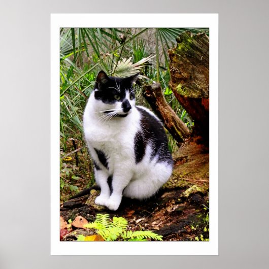 KATASTROPHE POSTER (Vorne)