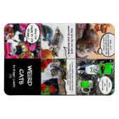 KATASTROPHEN MAGNET (Horizontal)