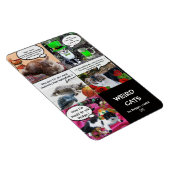 KATASTROPHEN MAGNET (Rechte Seite)