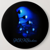 Kate Button (Vorderseite)