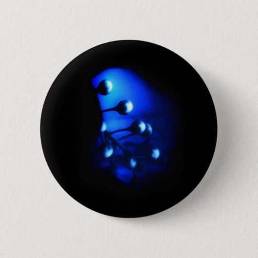 Kate Button (Vorderseite)