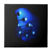 Kate Fliese (Vorderseite)