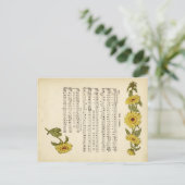 Kate Greenaway Music Postkarte (Stehend Vorderseite)