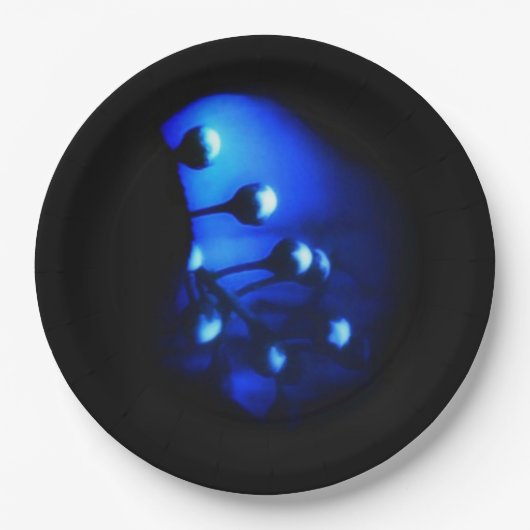 Kate Pappteller (Vorderseite)