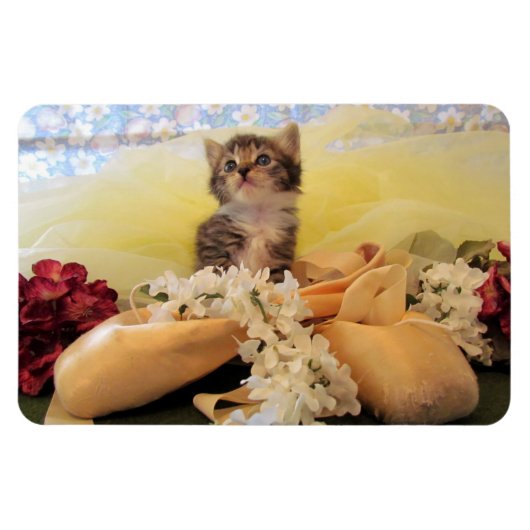 Kate the Ballerina Kitten - Cat Magnet (Horizontal)