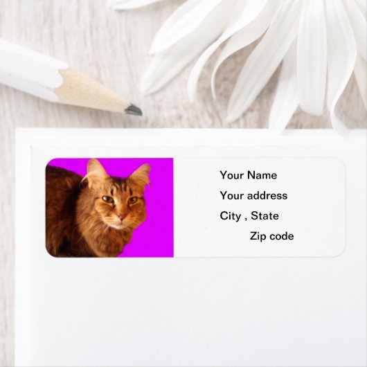 Kategorie 14 Rücksendeadresse (Insitu)