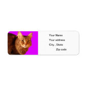 Kategorie 14 Rücksendeadresse (Vorne)