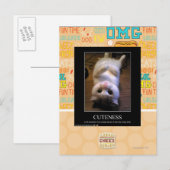 Kategorie 2 postkarte (Vorne/Hinten)
