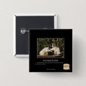 Kater Button (Vorne & Hinten)