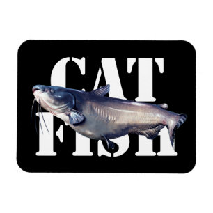 Katfisch Magnet