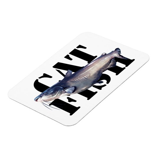 Katfisch Magnet (Linke Seite)