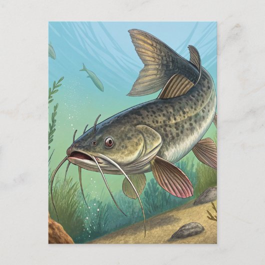 Katfisch Postkarte (Vorderseite)