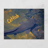 Katfische in naturfotografischem Fisch Postkarte (Vorderseite)