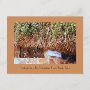 Katharina-Kloster, Südsinai, Ägypten Postkarte