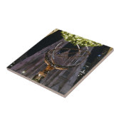 Kathedrale Atlas & St. Patrick - Fliese (Seite)