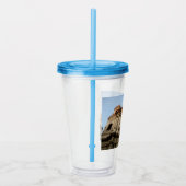 Kathedrale Catania Italien Acryltrinkbecher (Rechts)