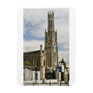 Kathedrale Mariä Himmelfahrt, Carlow, Irland Magnet