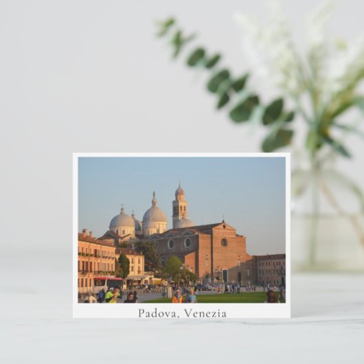 Kathedrale Padova (Padova, Venezia) Postkarte (Stehend Vorderseite)