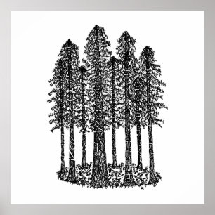 Kathedrale Ring (Coastal Redwoods Sketch) Poster