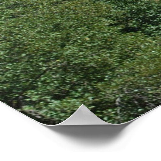 Kathedrale Rock 601 Poster (Ecke)