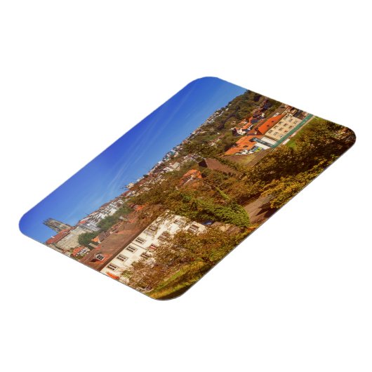 Kathedrale St. Nikolaus in Freiburg, Schweiz Magnet (Linke Seite)