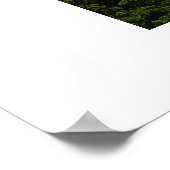 Kathedrale St. Vitus Poster (Ecke)