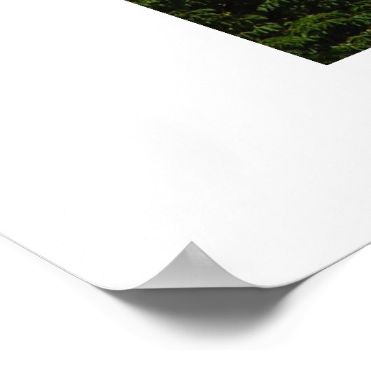 Kathedrale St. Vitus Poster (Ecke)