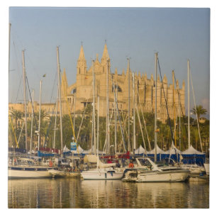 Kathedrale und Jachthafen, Palma, Mallorca, Spanie Fliese