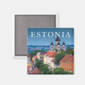 Kathedrale und Stadtbild | Dänemark Magnet (Vorderseite/Rückseite)
