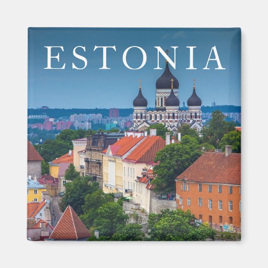 Kathedrale und Stadtbild | Dänemark Magnet (Vorne)