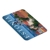 Kathedrale und Stadtbild | Dänemark Magnet (Rechte Seite)