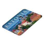 Kathedrale und Stadtbild | Dänemark Magnet (Linke Seite)