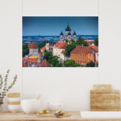 Kathedrale und Stadtbild | Dänemark Poster (Küche)