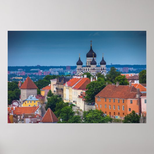Kathedrale und Stadtbild | Dänemark Poster (Vorne)