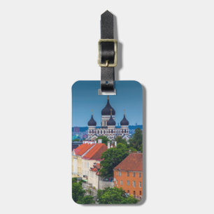 Kathedrale und Stadtbild Estland Gepäckanhänger