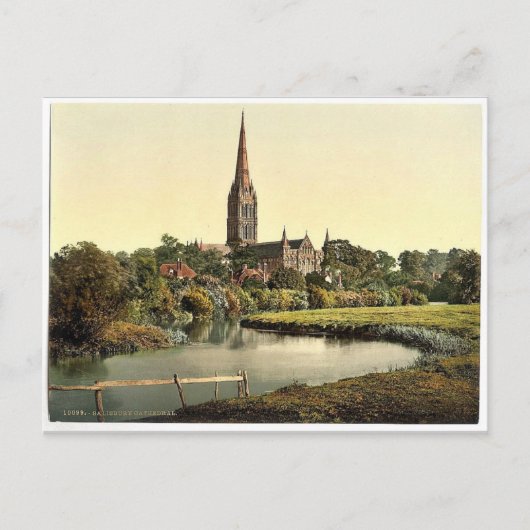 Kathedrale, vom Fluss Salisbury, England selten Postkarte (Vorderseite)