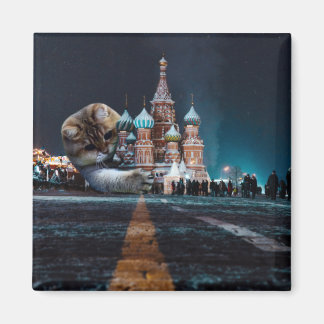 Kathedrale von Saint Basil und Hosico Magnet