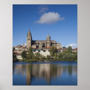 Kathedralen und Stadt Salamanca Poster