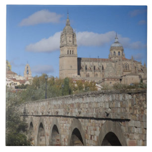Kathedralen von Salamanca, vom Puente Romano aus g Fliese