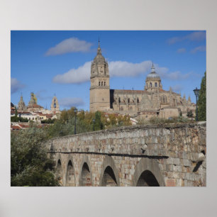 Kathedralen von Salamanca, vom Puente Romano aus g Poster