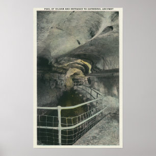 Kathedralentor Blick auf den Teich von Siloam Poster